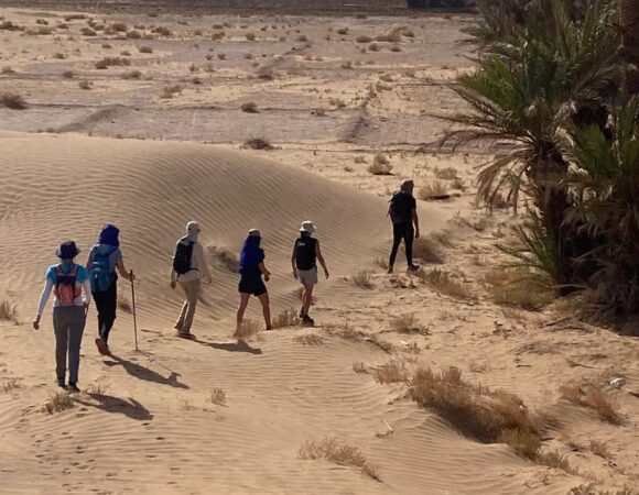 Vivez le Maroc Authentique avec un Guide Professionnel Local