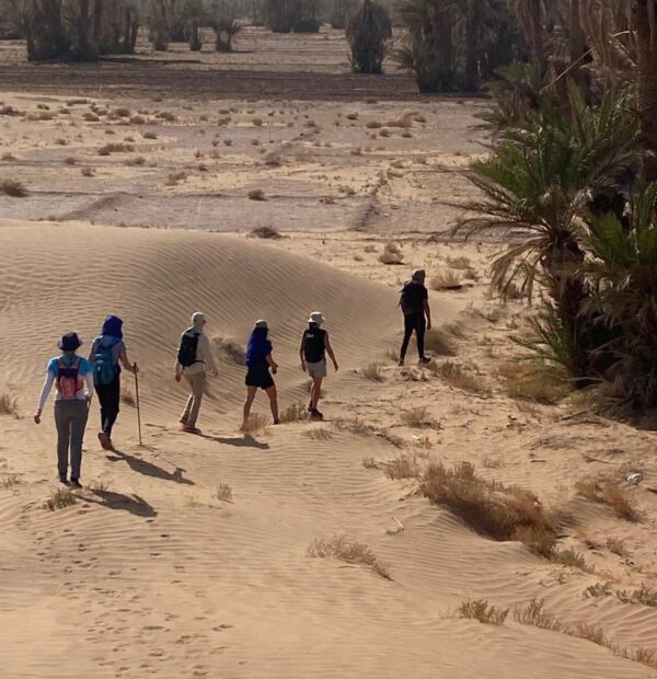 Vivez le Maroc Authentique avec un Guide Professionnel Local