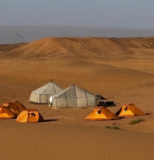 Trekking dans le Sahara : Une Expérience Exclusive et Inoubliable