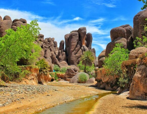 Pays du safran